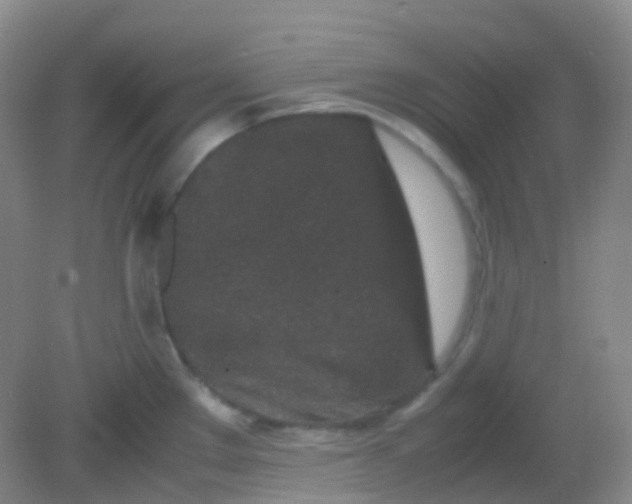 X0000081411289200701261814