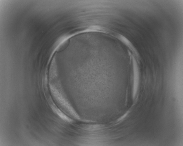 X0000081411292200701261814