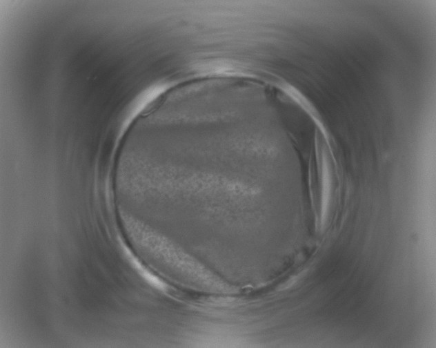 X0000081411293200701261814