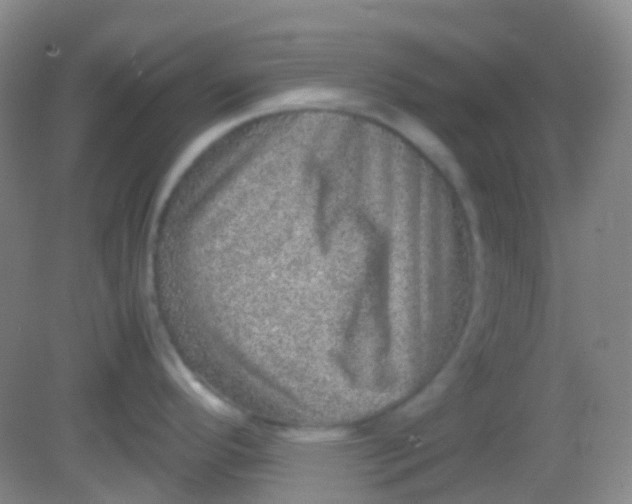 X0000081411296200701261814