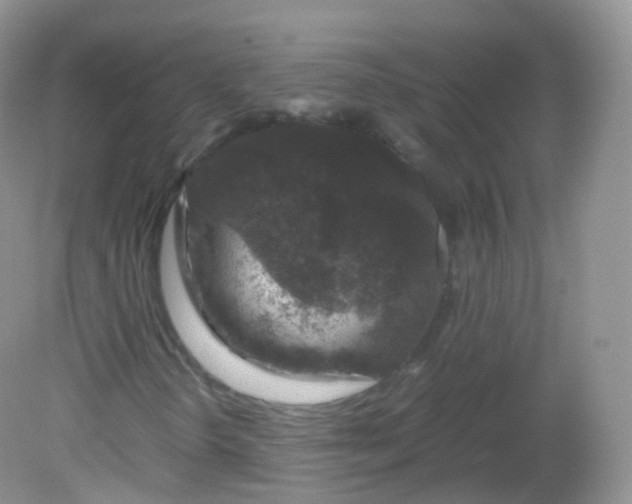 X0000081411298200701261813