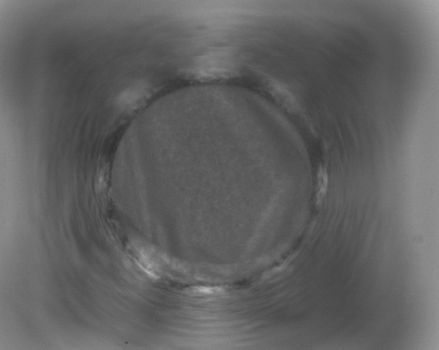 X0000081411300200701261813