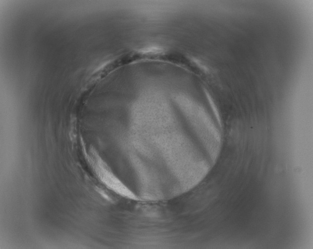 X0000081411301200701261813