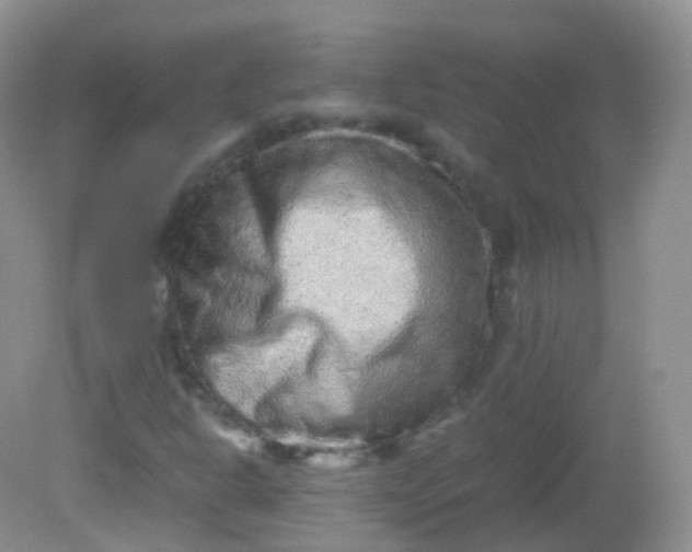 X0000081411302200701261813