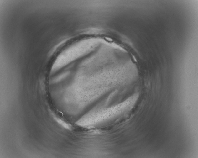X0000081411304200701261813