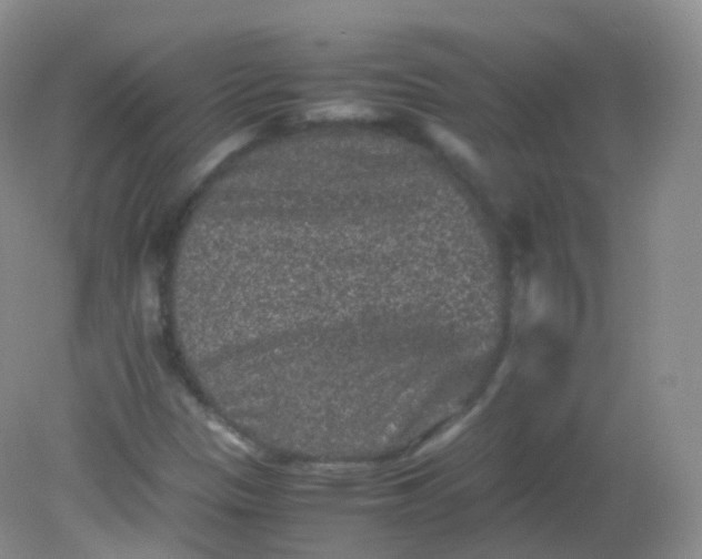 X0000081411305200701261813