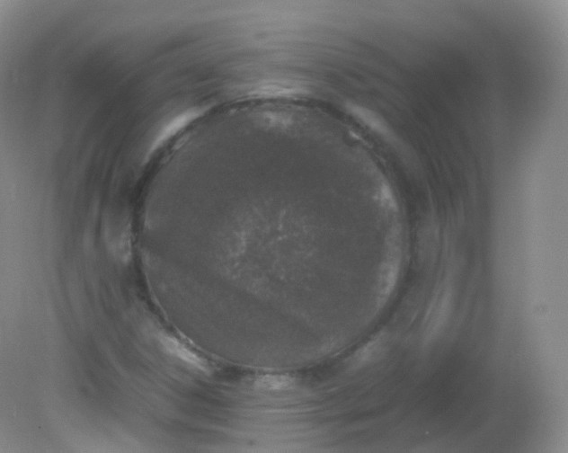 X0000081411306200701261813