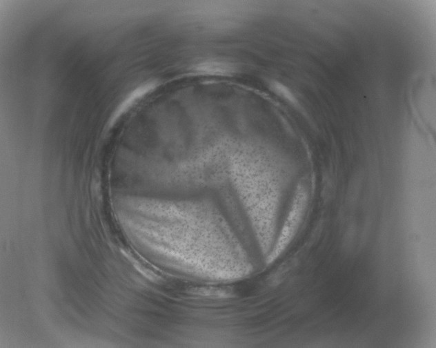 X0000081411307200701261813