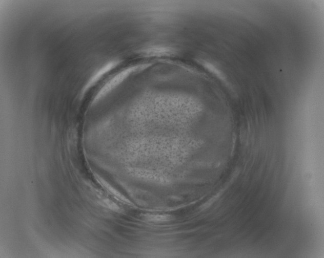 X0000081411309200701261813