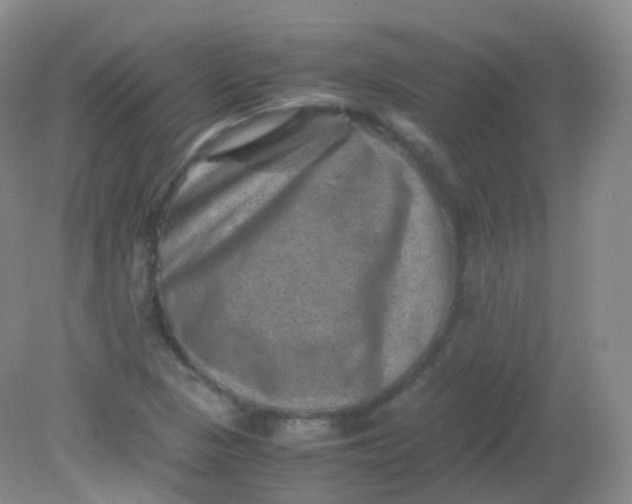 X0000081411313200701261813