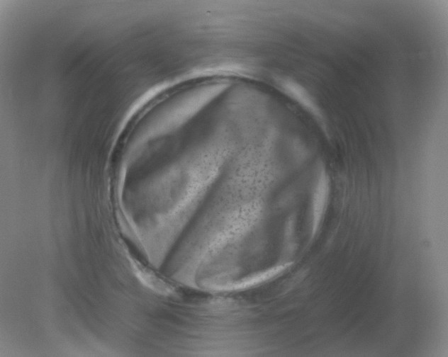 X0000081411316200701261813