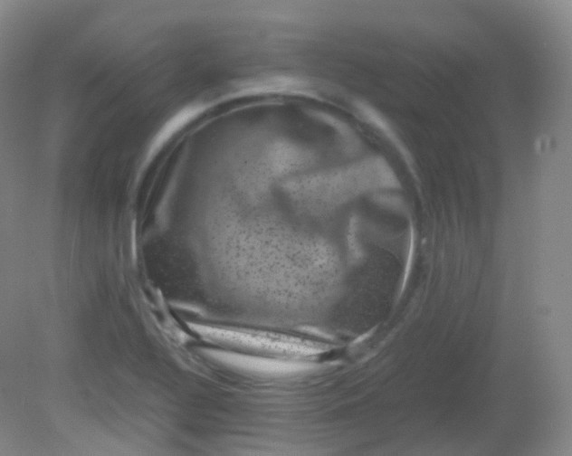 X0000081411320200701261814
