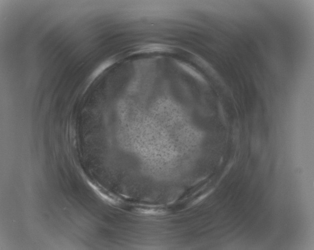 X0000081411321200701261814