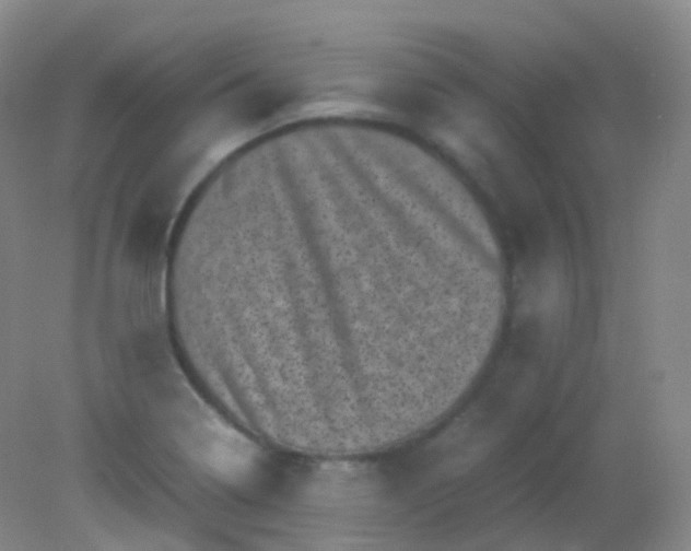 X0000081411322200701261814