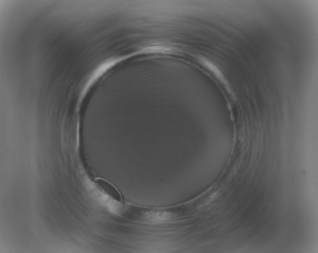 X0000081411323200701261814
