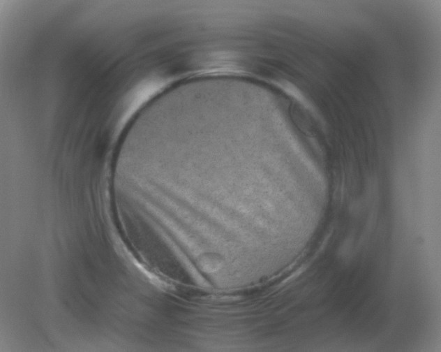 X0000081411325200701261814