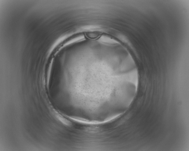 X0000081411328200701261814