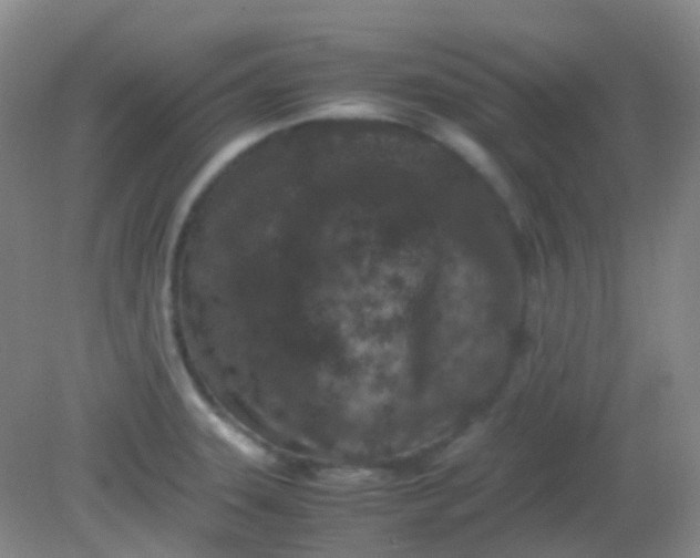 X0000081411331200701261814