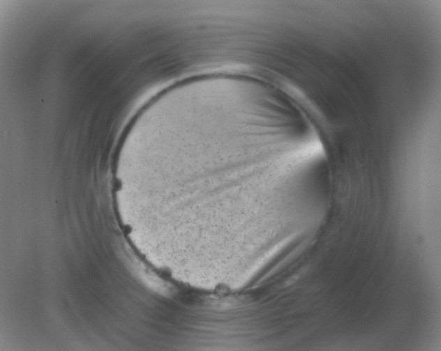 X0000081411332200701261814