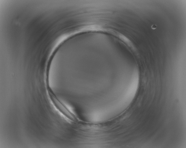 X0000081411334200701261814