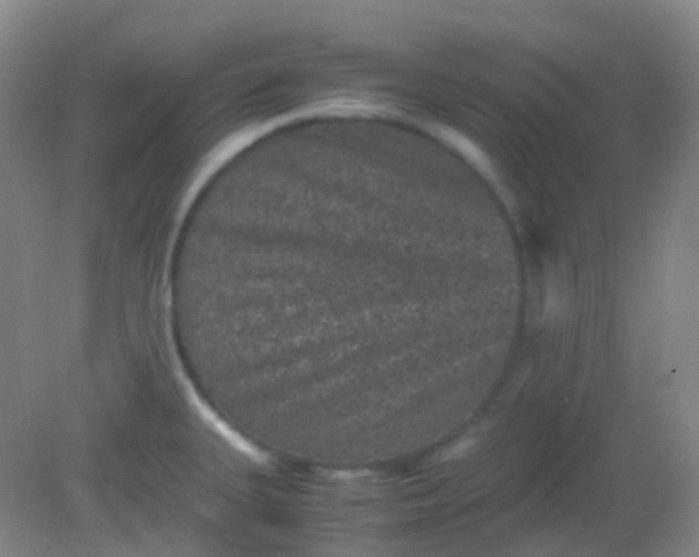 X0000081411335200701261814
