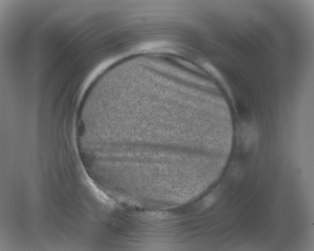 X0000081411336200701261814