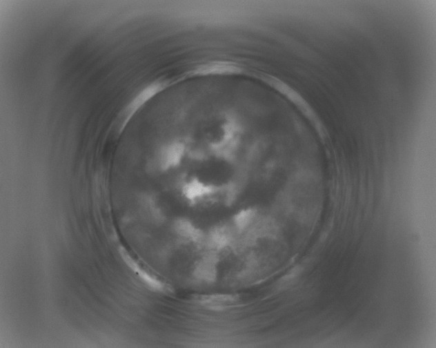 X0000081411337200701261814