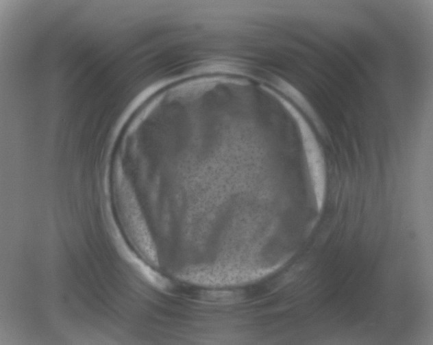 X0000081411339200701261814