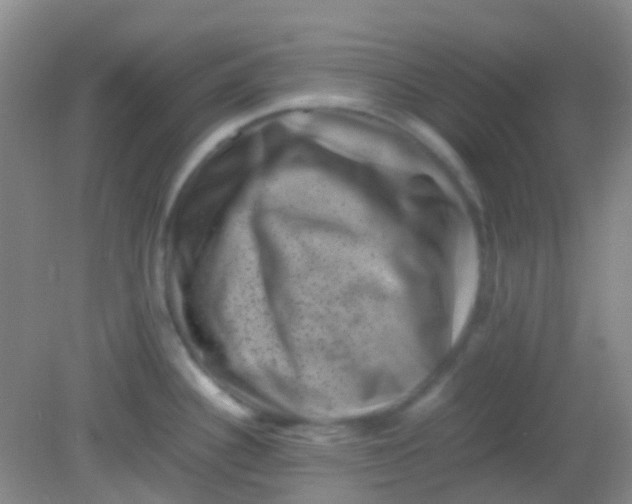 X0000081411340200701261814