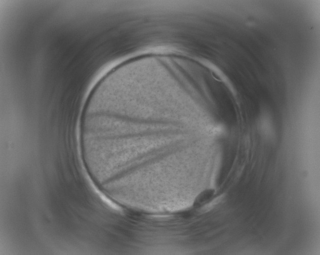 X0000081411343200701261814