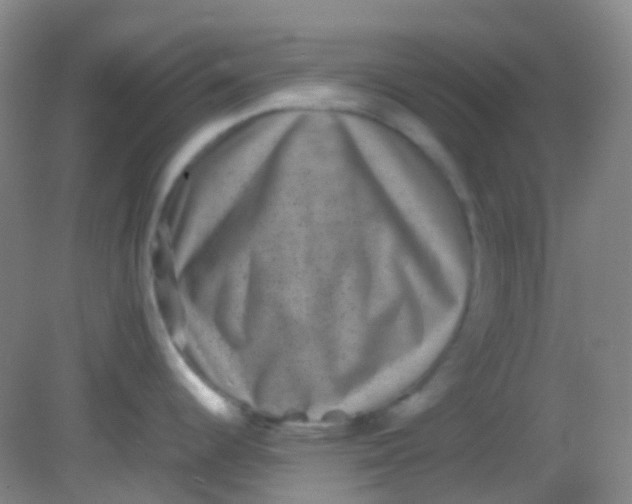 X0000081411344200701261814
