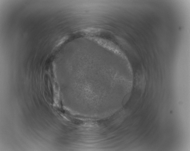 X0000081411346200701261813