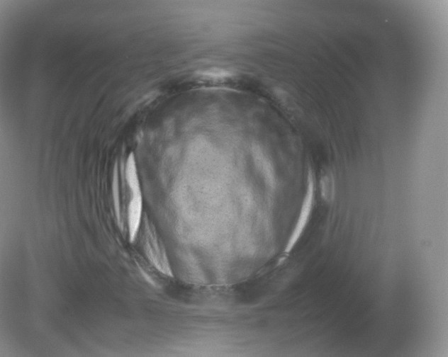 X0000081411347200701261813