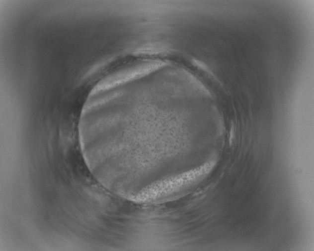 X0000081411350200701261813