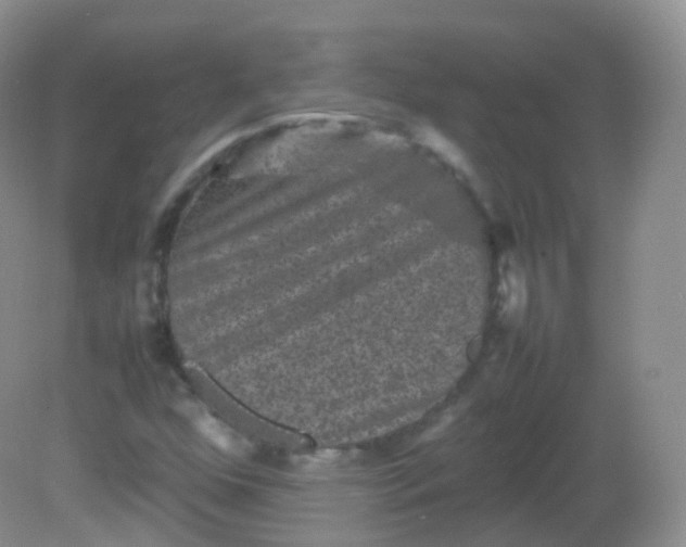 X0000081411352200701261813