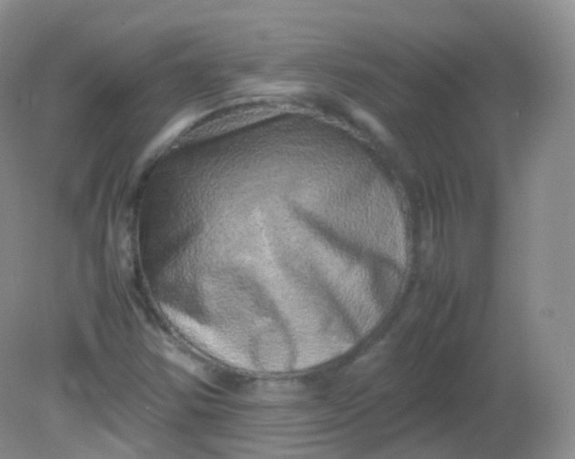 X0000081411354200701261813