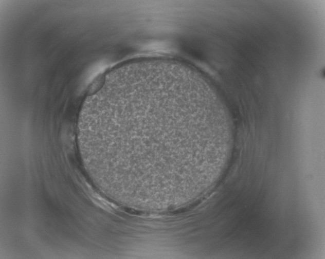 X0000081411355200701261813