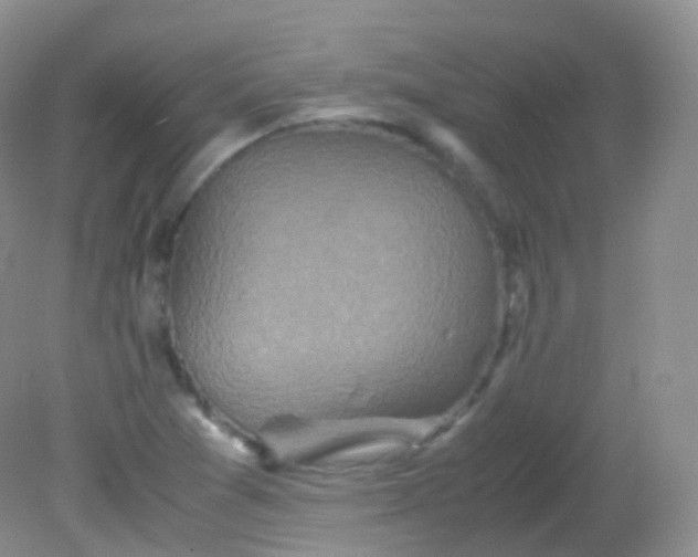 X0000081411361200701261813