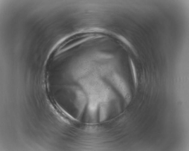 X0000081411364200701261813
