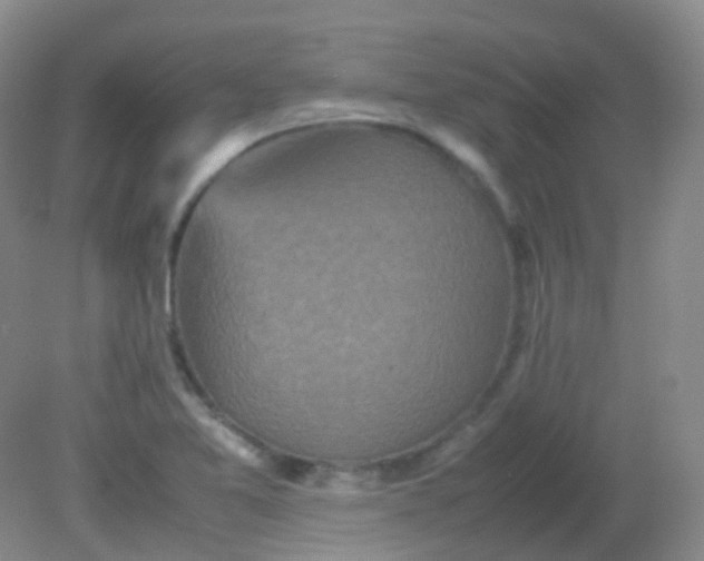 X0000081411365200701261813