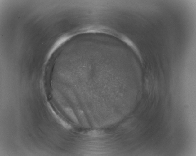 X0000081411368200701261813