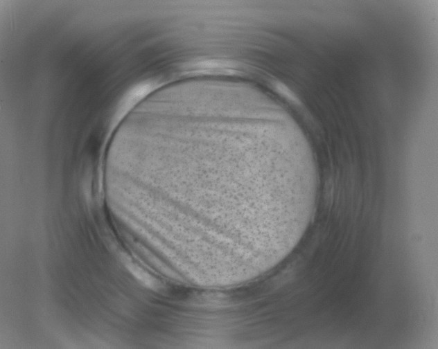 X0000081411370200701261813