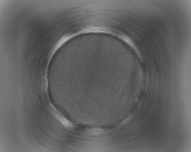 X0000081411372200701261813