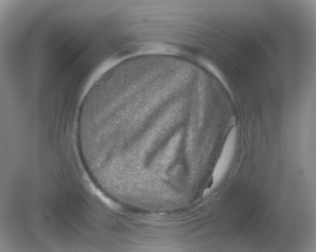X0000081411379200701261813