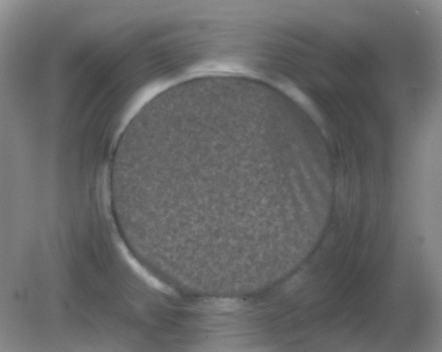 X0000081411382200701261813