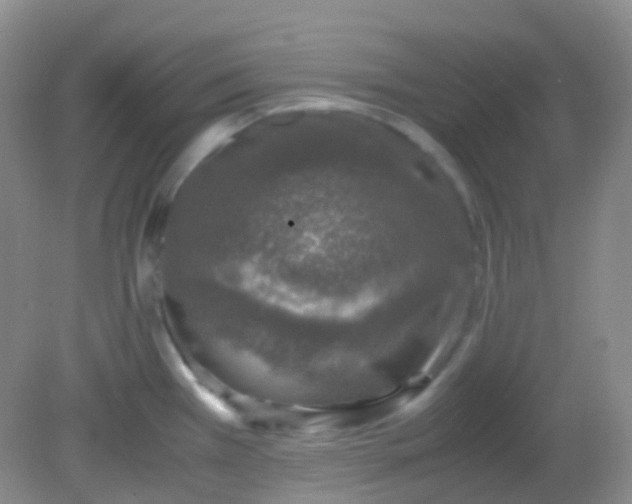 X0000081411385200701261812