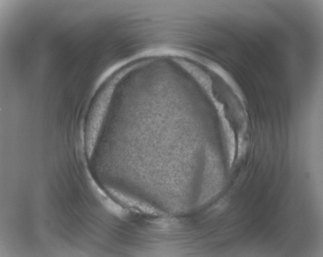 X0000081411388200701261812
