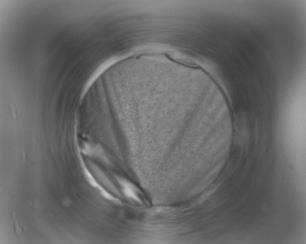 X0000081411390200701261812