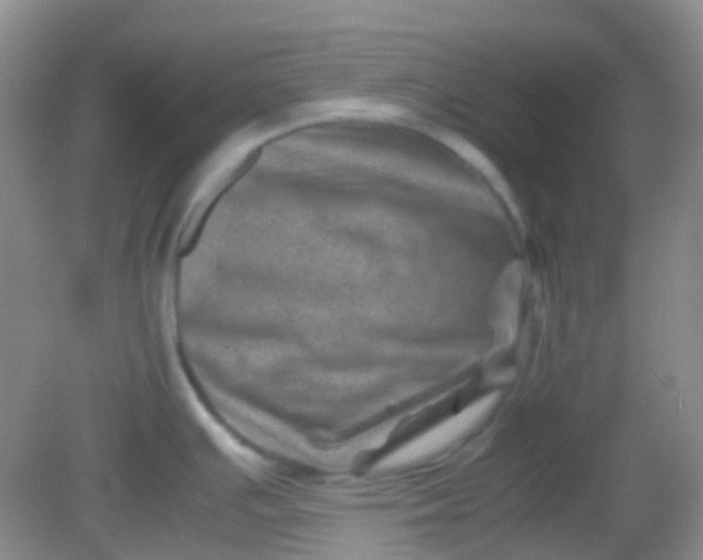 X0000081411391200701261812