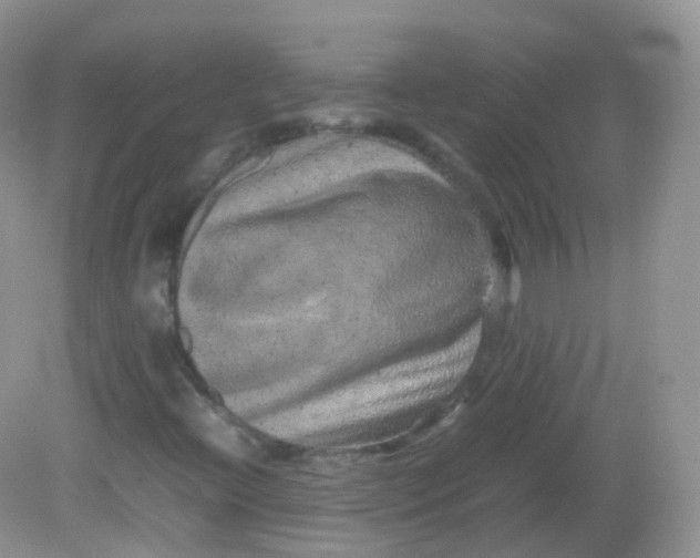 X0000081411396200701261812